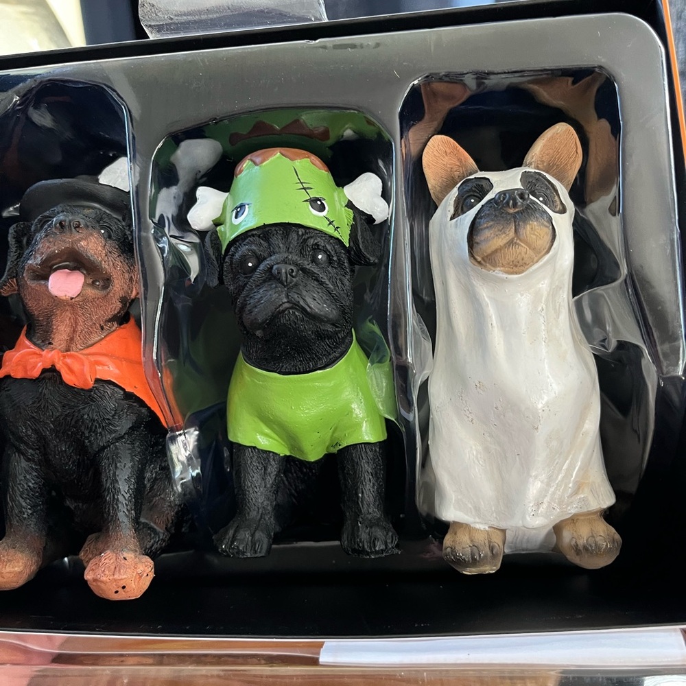 Candy corn Lane dogs and costumes so adorable for all your pet lovers nwt